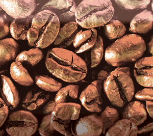Decor (pz) Coffee Beans 03