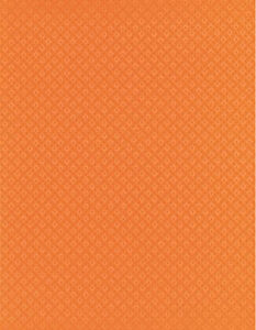 Arcobaleno Orange Maestro Vertical Decor 20 x 50