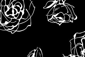 Cenefa Roses Negro 10 x 30