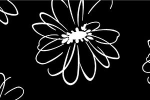 Cenefa Flor Negro 10 x 30