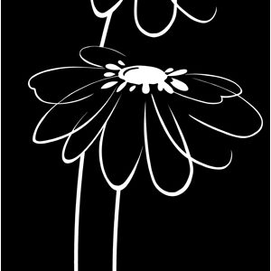 Decor Blancos Flor Noir 30 x 60