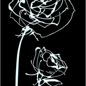 Decor Blancos Roses Noir 30 x 60