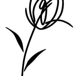 Decor Blancos Tulipan Blanco 30 x 60
