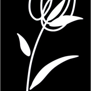 Decor Blancos Tulipan Negro 30 x 60
